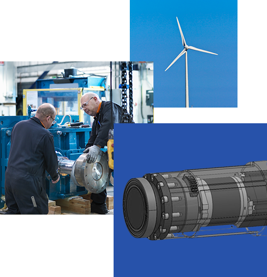 Professional Service